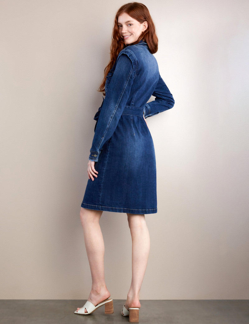 Women's Road Trip Denim Dress – Wash Lab – washlabshop