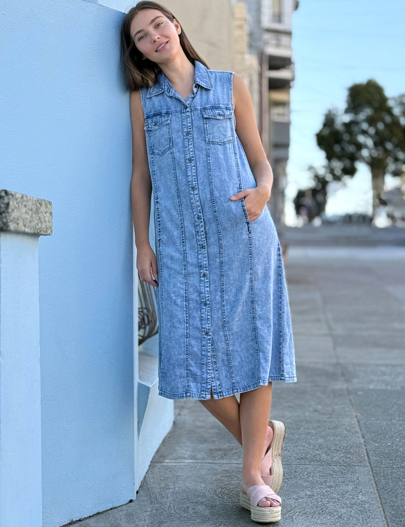 Seamed Sleeveless Shirtdress