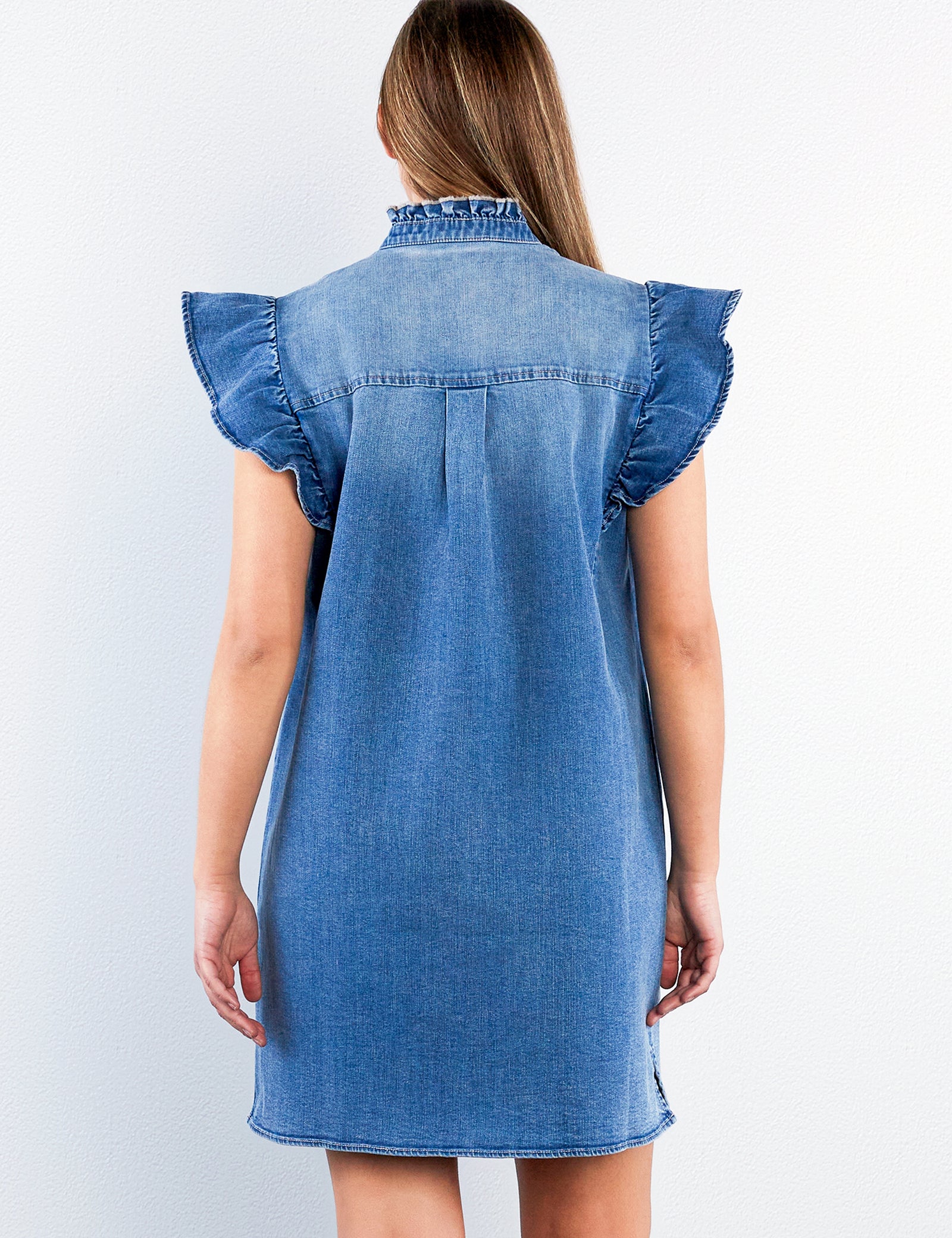 Denim Ruffle Dress  washlabshop